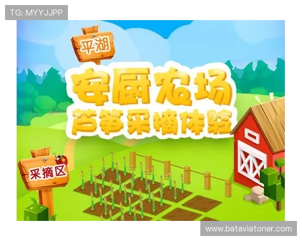 爱游戏体育官方平台的特色功能与用户体验提升策略全面分析 爱游戏体育官方平台的特色功能与用户体验提升策略全面分析